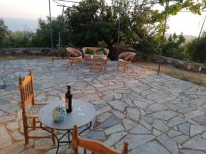 Theasea house with garden